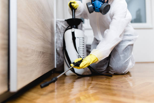 Best Commercial Pest Control Services  in Manvel, TX