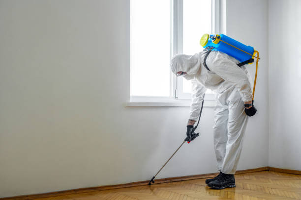 Professional Pest Control in Manvel, TX