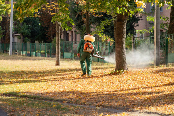 Best Cockroach Control Services  in Manvel, TX