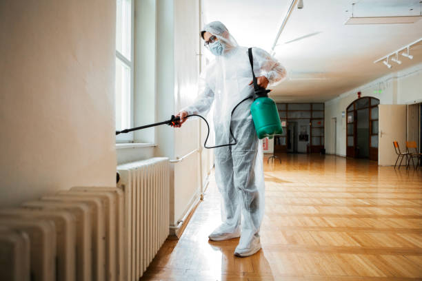 Best Termite Control Services  in Manvel, TX